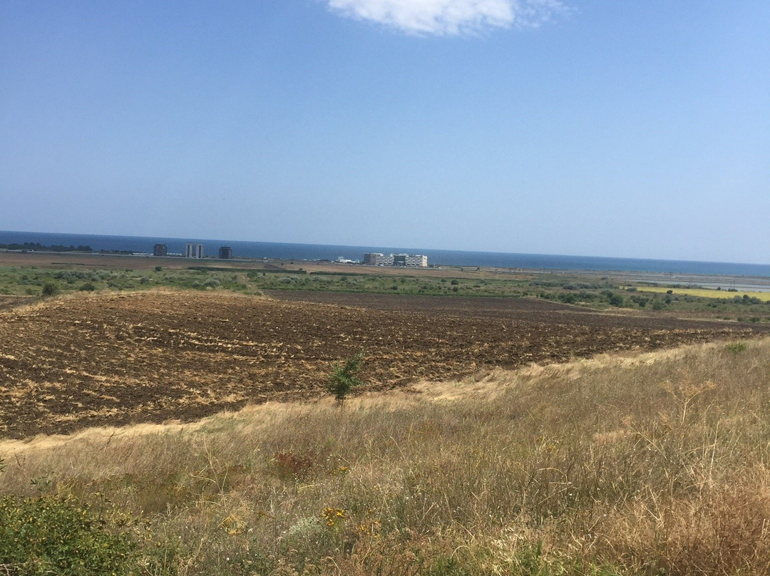 DiVes Winery景点图片