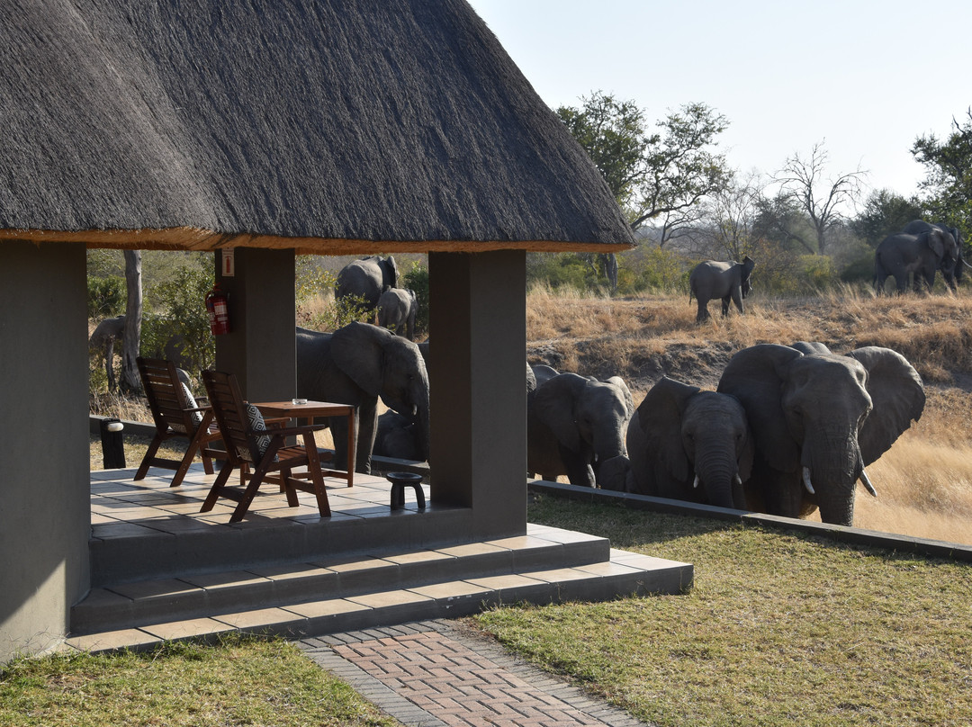 阿拉修萨野生动物园酒店主图