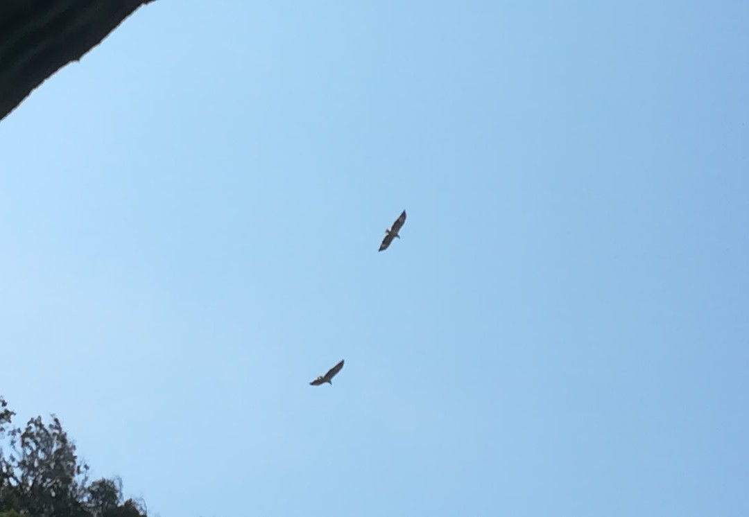 Gemia Island-马江必去景点