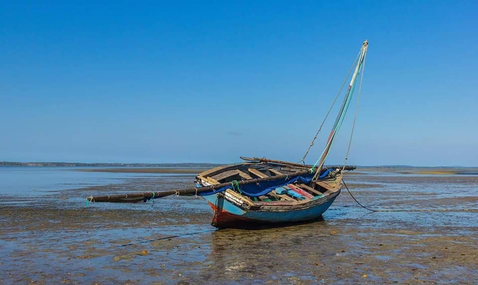 Aquaholics Barra Scuba & Activities-Praia da Barra必去景点