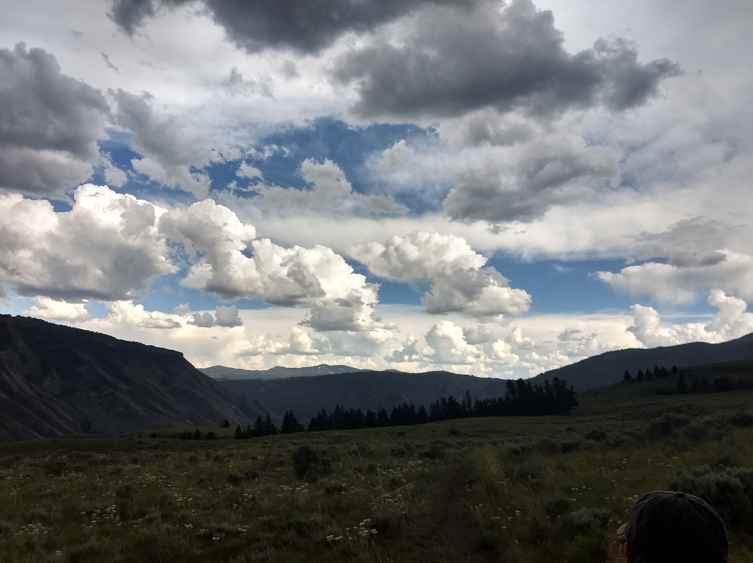 Beaver Ponds Loop Trail景点图片