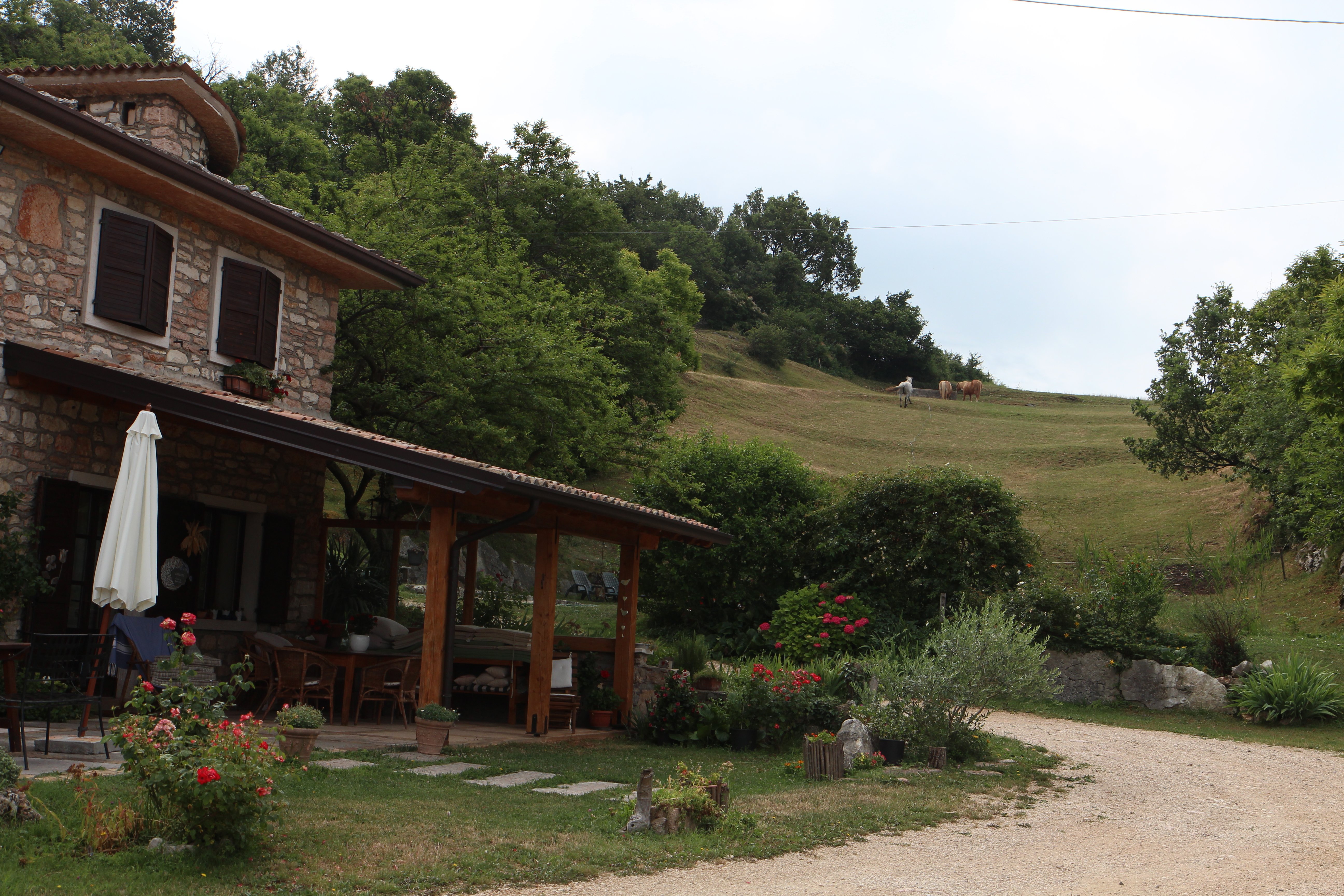 Agriturismo Lavacetto-浴室