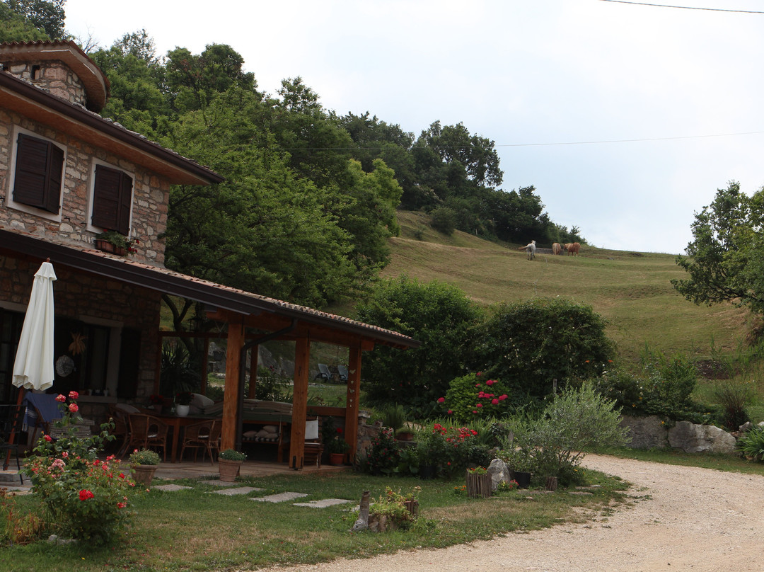 Agriturismo Lavacetto主图