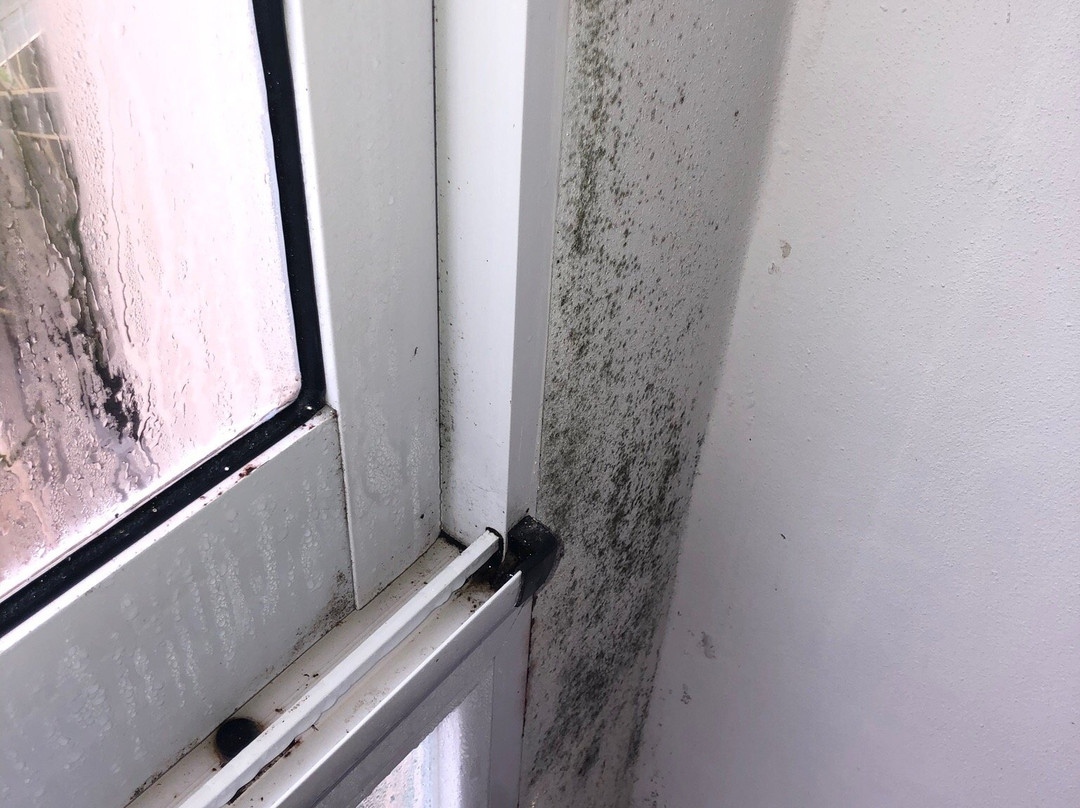 La Giraldilla Apart Hotel主图