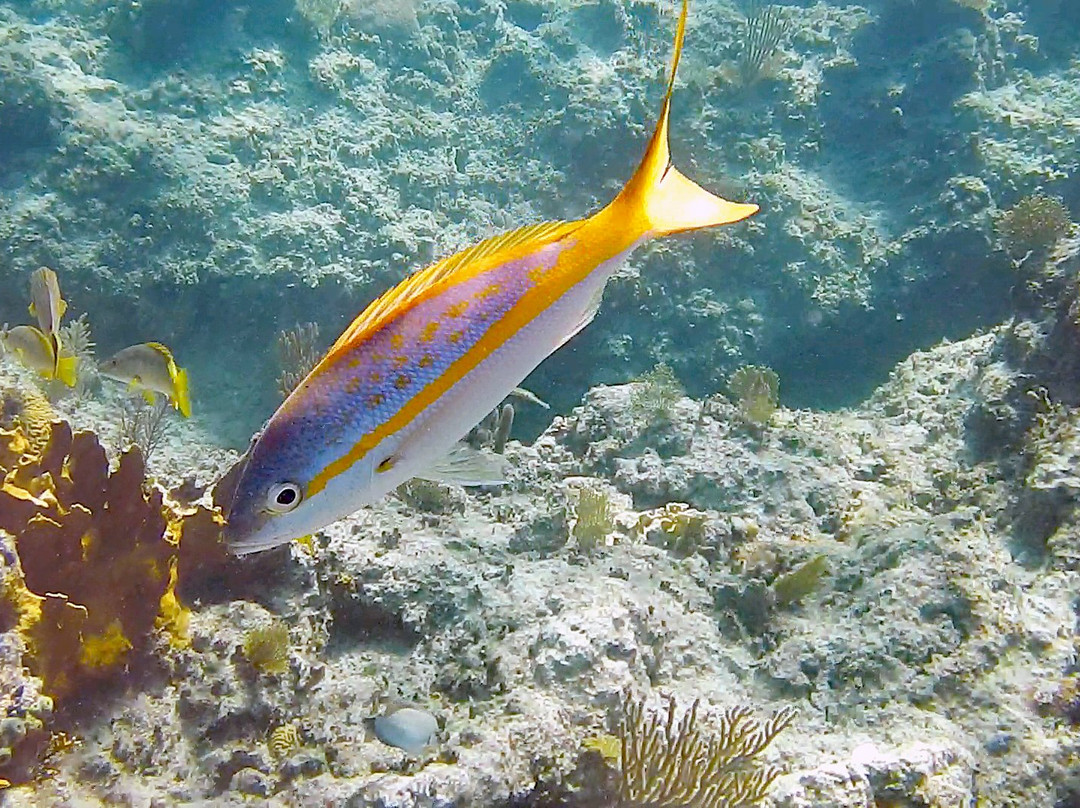 Paradise Cove Beach Resort主图