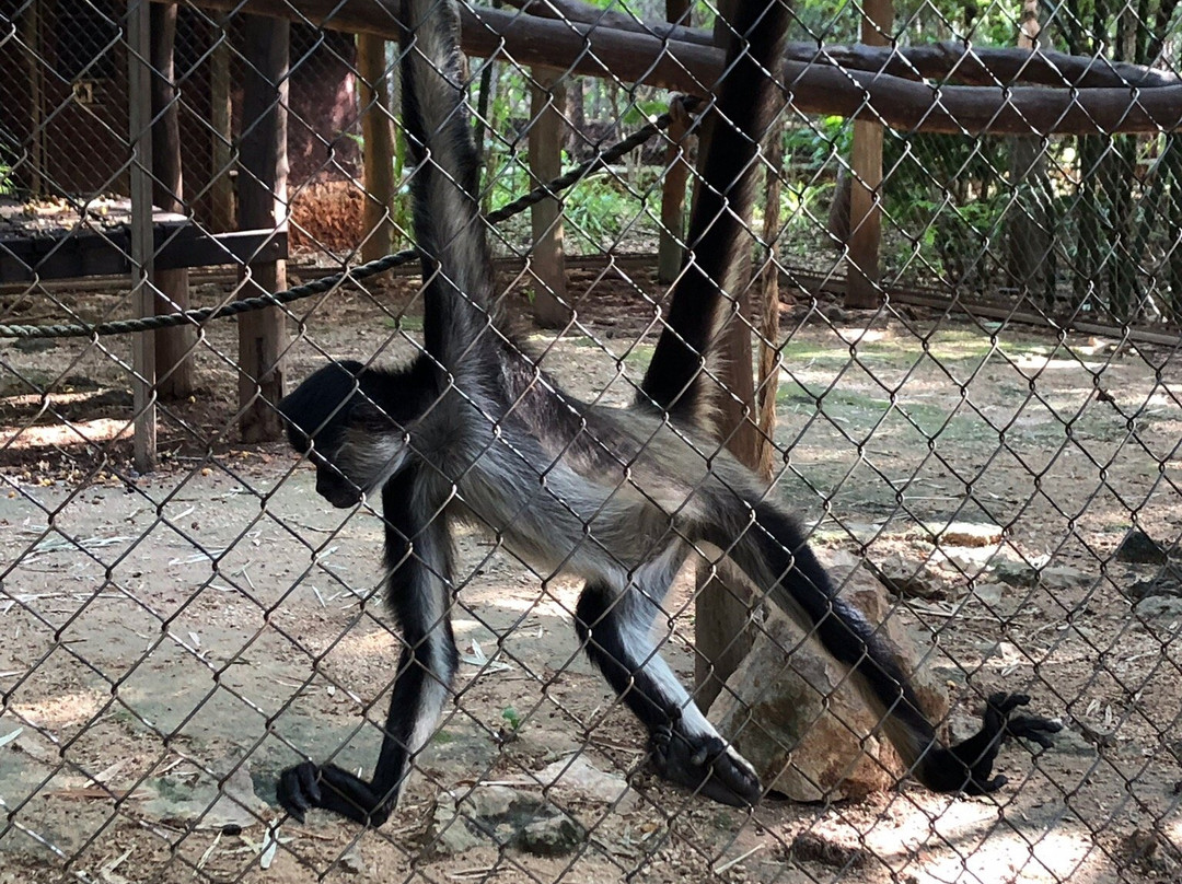 Choco Story-乌科斯玛必去景点