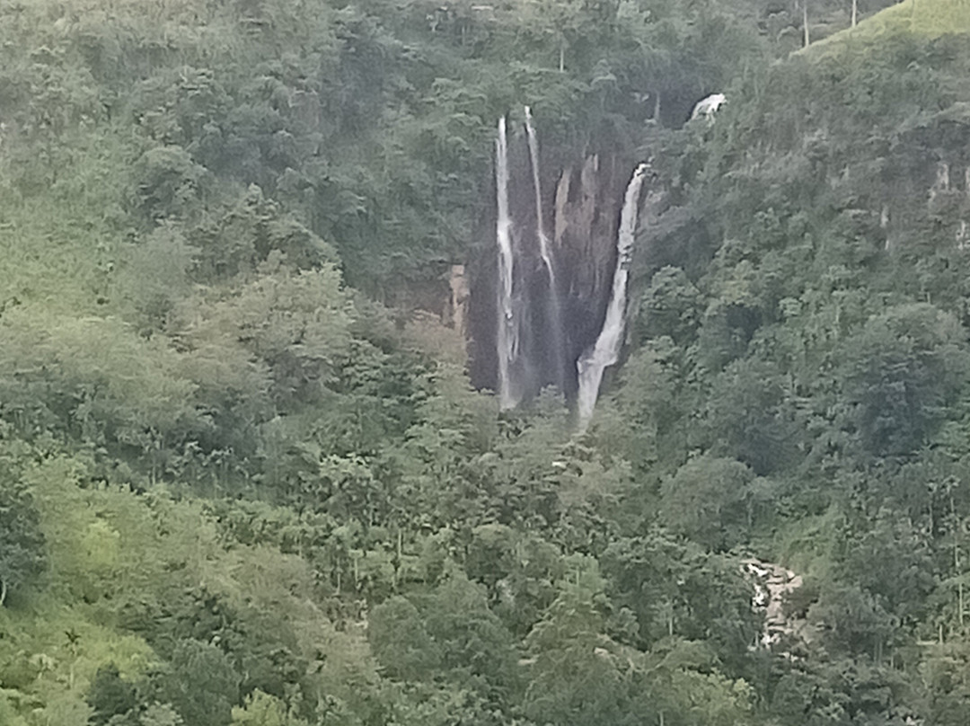 Taxi Nuwaraeliya srilanka Tour with Henry-奴娃拉伊利雅必去景点
