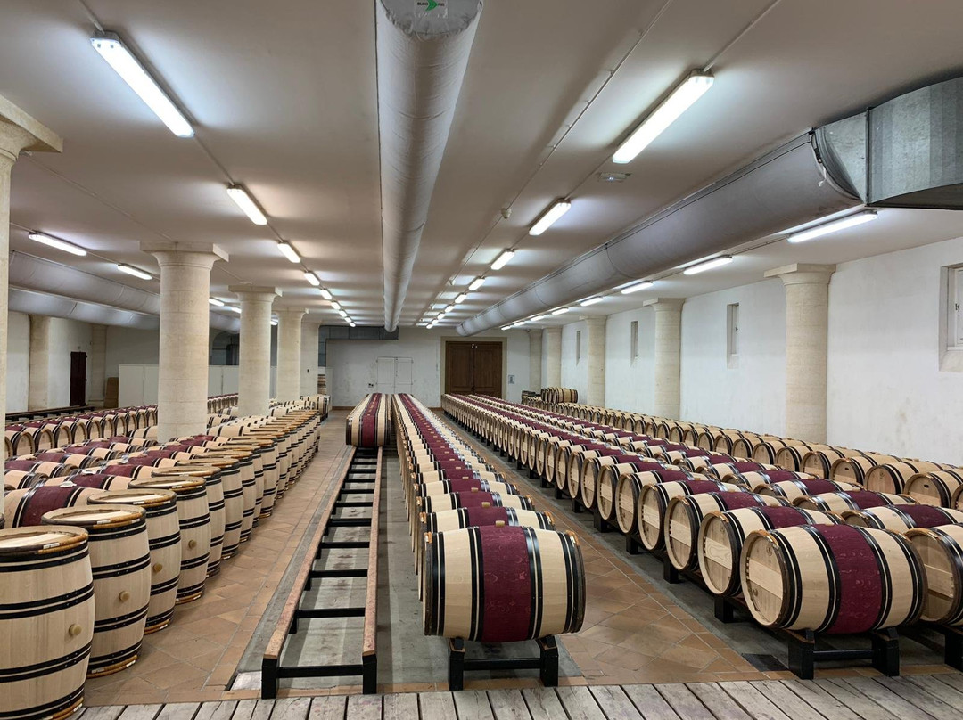 Château Haut-Brion景点图片