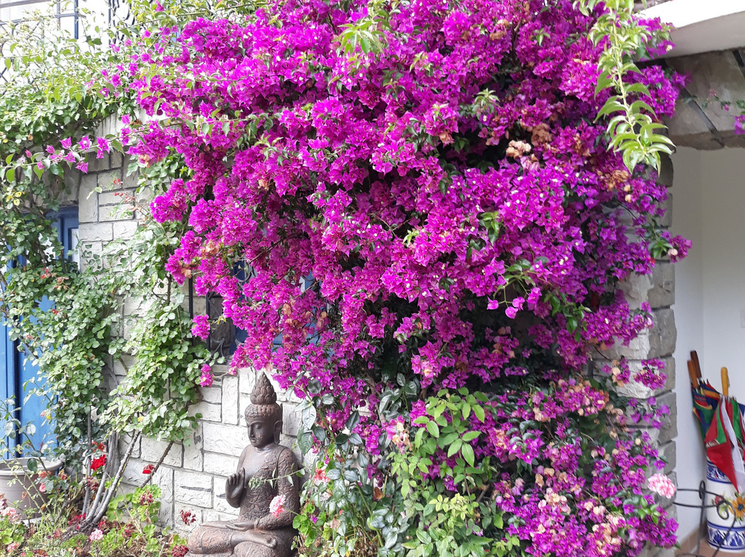 Villa Erresinolettean主图