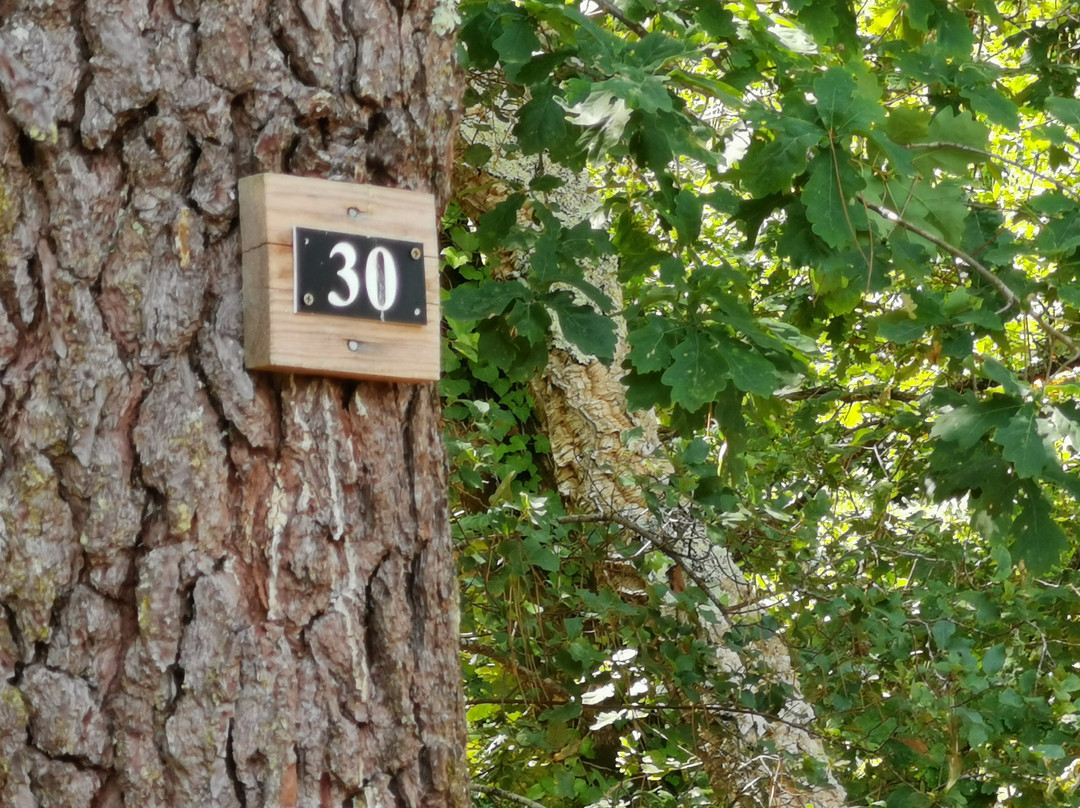 Camping Lacoussade