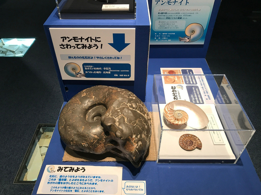 Gamagori Museum of Earth-蒲郡港必去景点