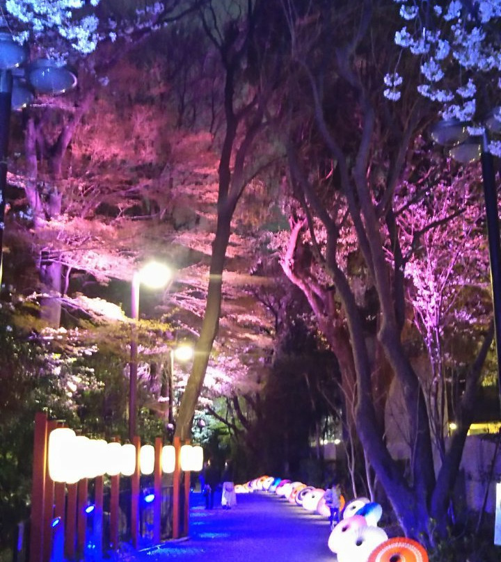 Gotenyama Garden-品川区必去景点