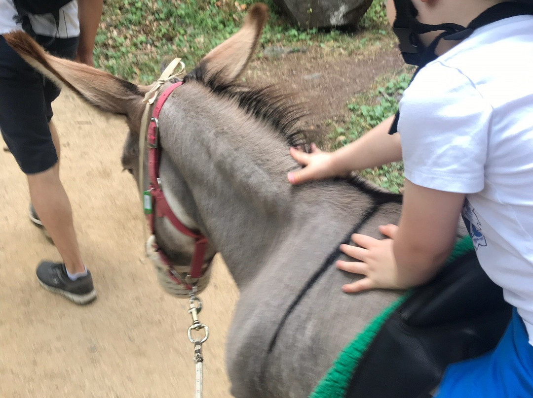 Les Anes d'Alexandre et Sylvain-Aydat必去景点