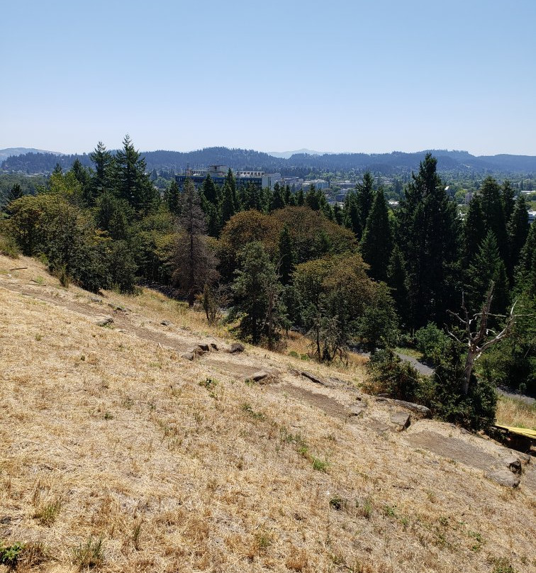 Skinner Butte Park-尤金必去景点