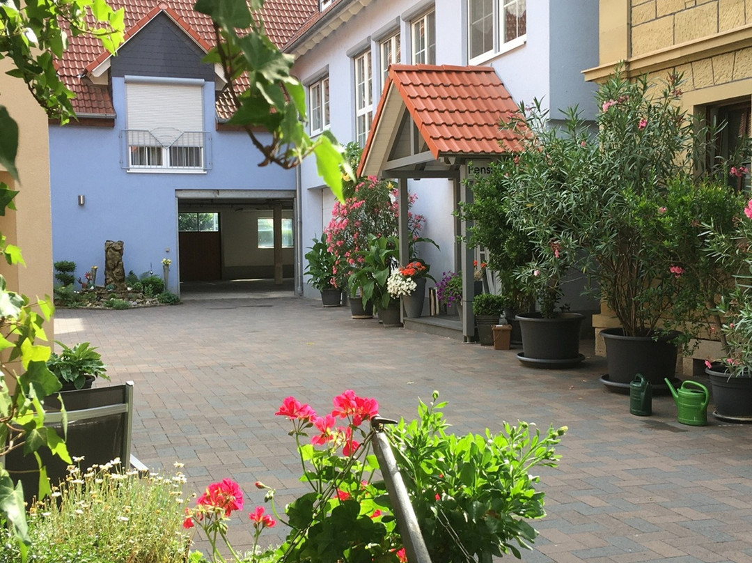 Pension am Schlossberg主图