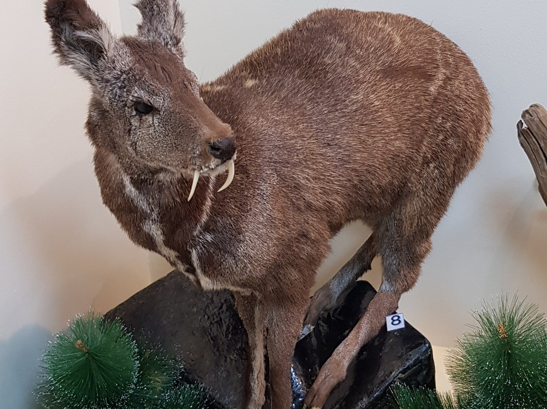 Bodaibinskiy Local History Museum V. F. Vereshhagina-Bodaibo必去景点
