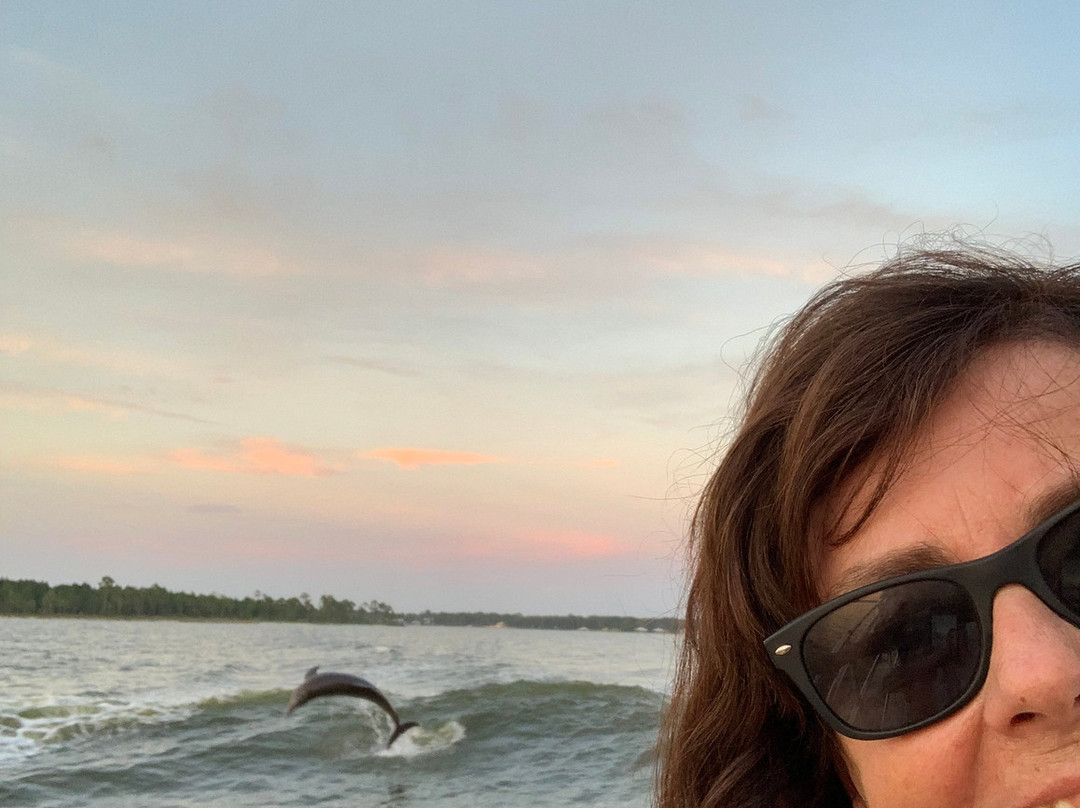 Southern Rose Dolphin Cruises-橙色海湾必去景点