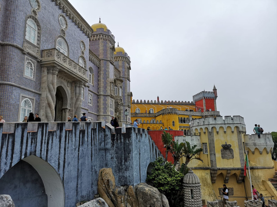 Mr Driver-塞新布拉必去景点