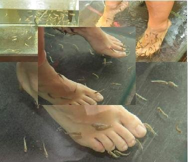 Tepla酒店住宿-Hotel Krakonoš