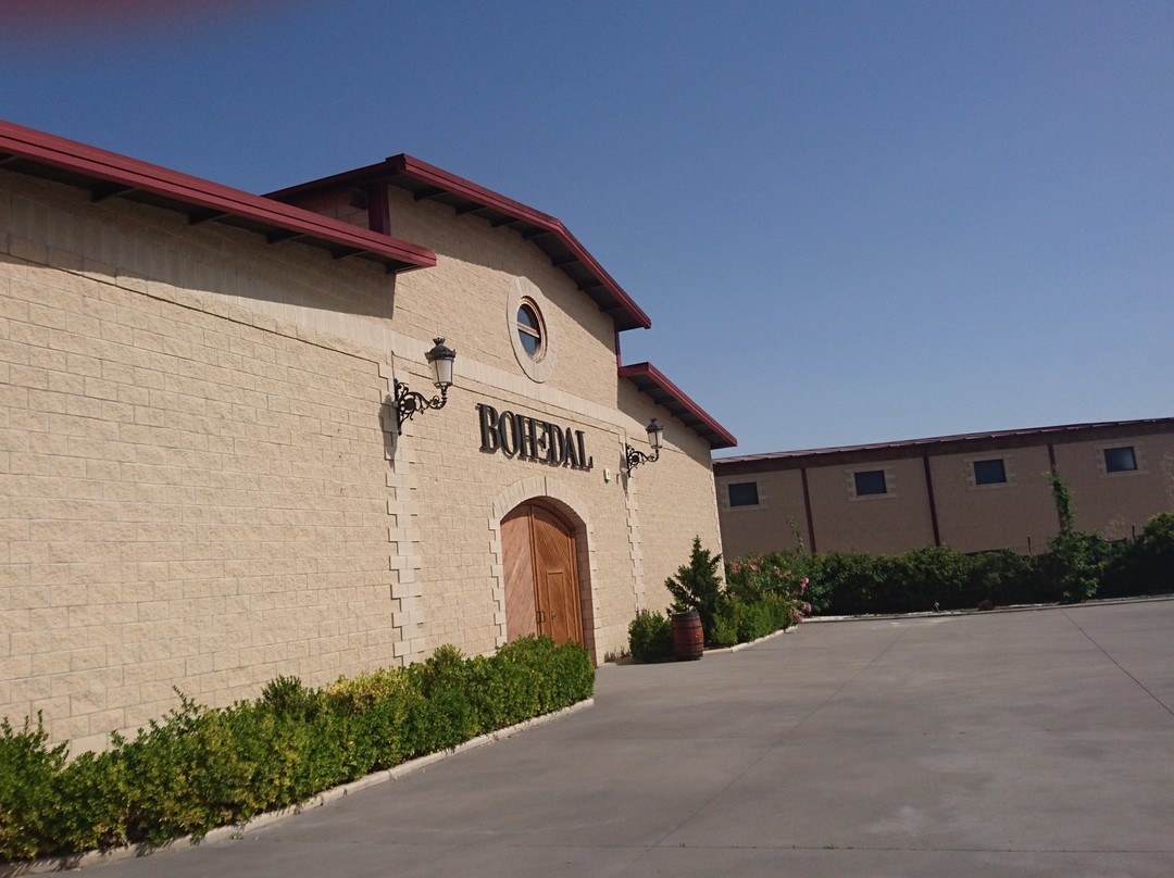 Bohedal Bodega Boutique景点图片