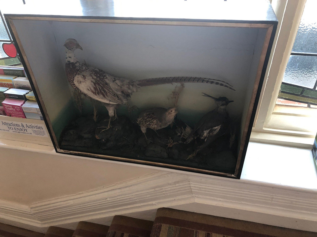 The Waterloo Hotel & Bistro主图