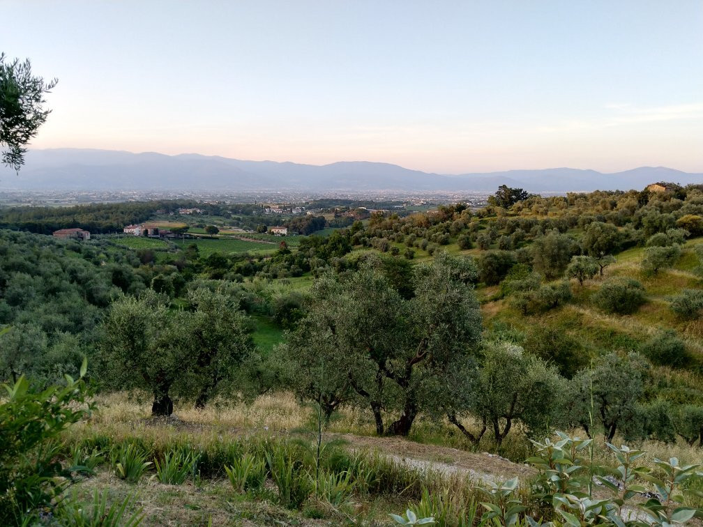 Agriturismo Abbonbri主图