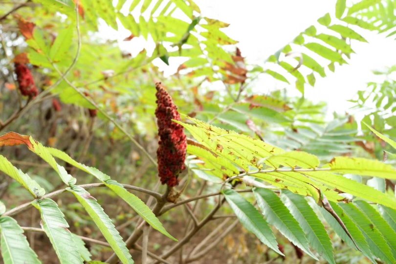 唐韵山庄-酒店景观
