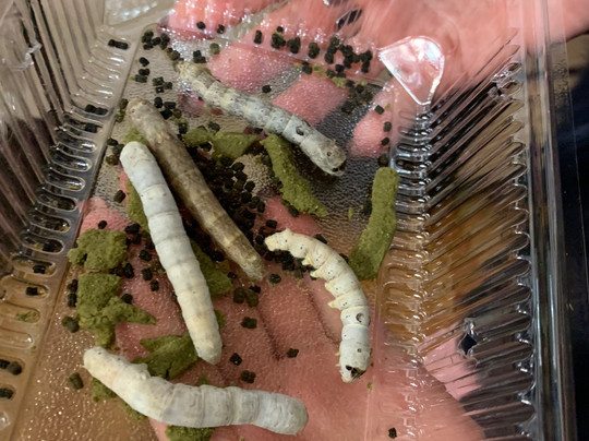 Brochier Soieries Vieux Lyon-里昂必去景点