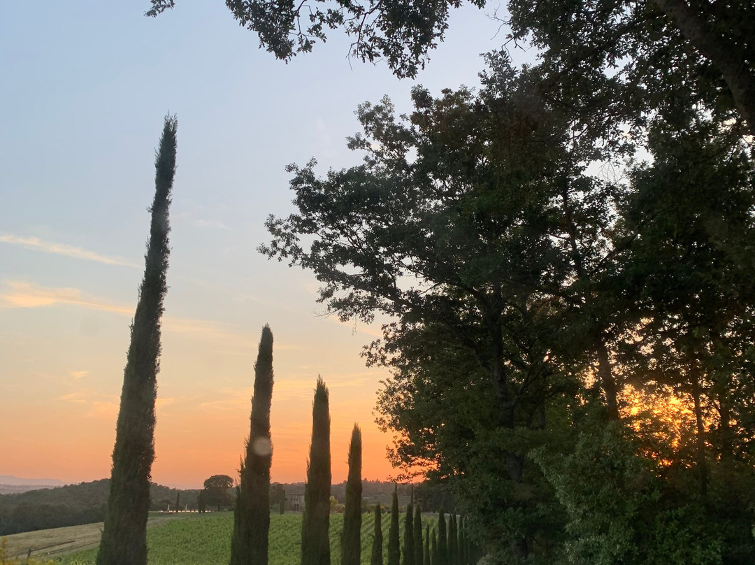 Podere Dionora主图