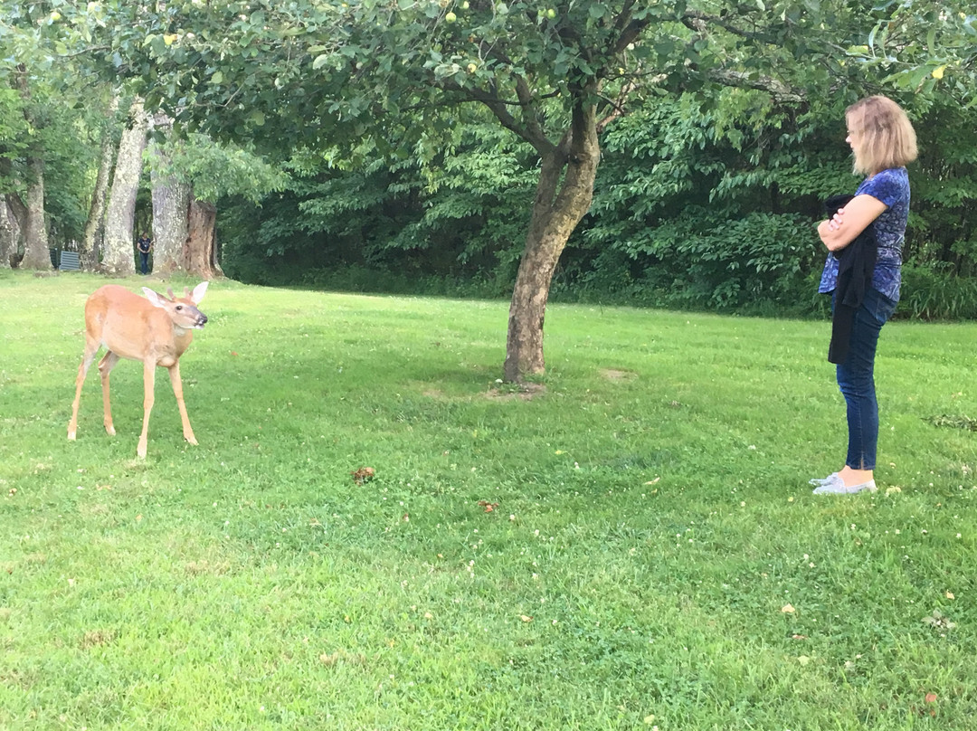 The Inn & Spa at Cedar Falls主图