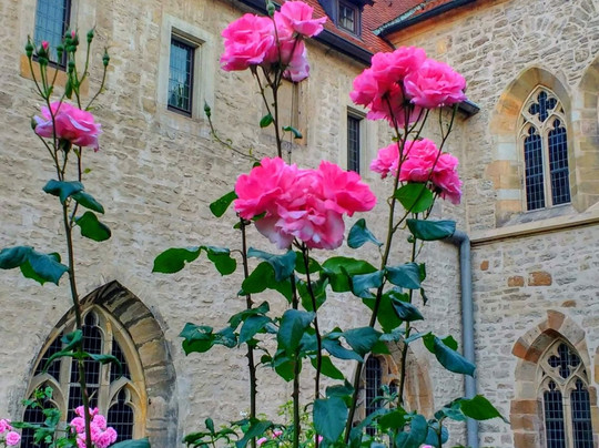 Augustinerkloster主图