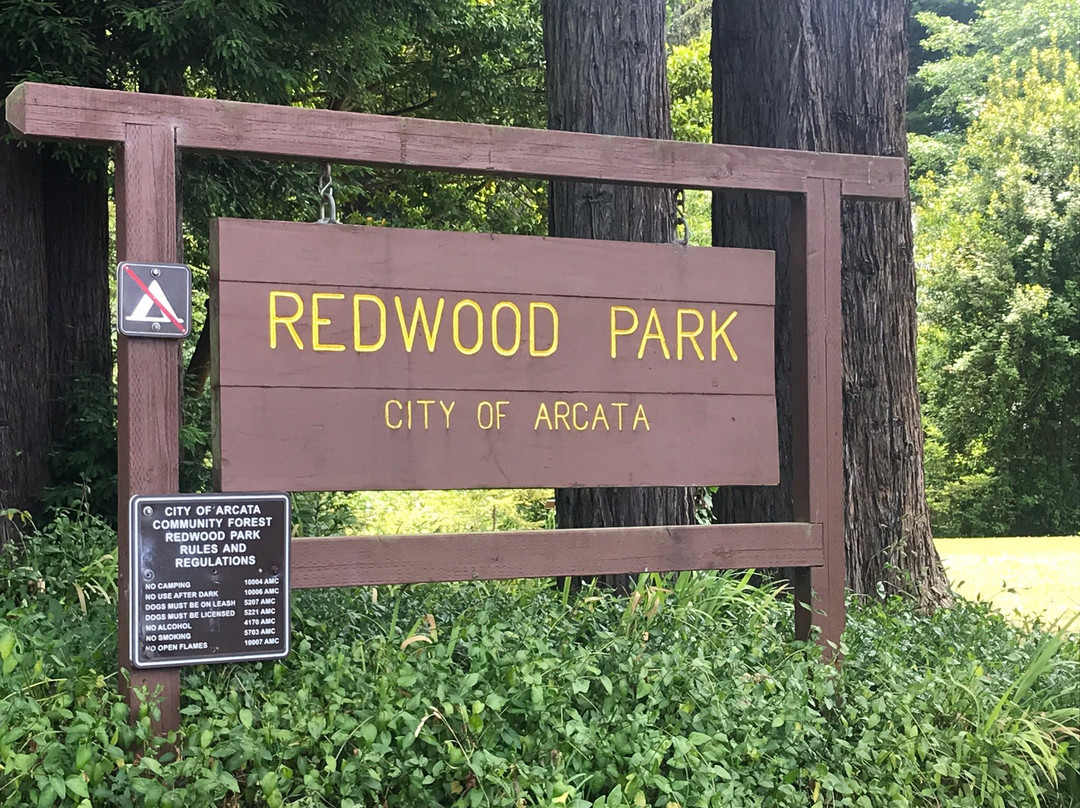 Arcata Community Forest景点图片