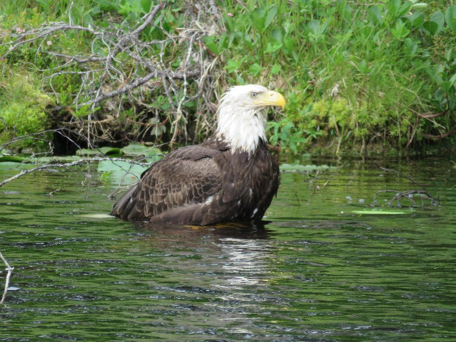 Escape For Two主图