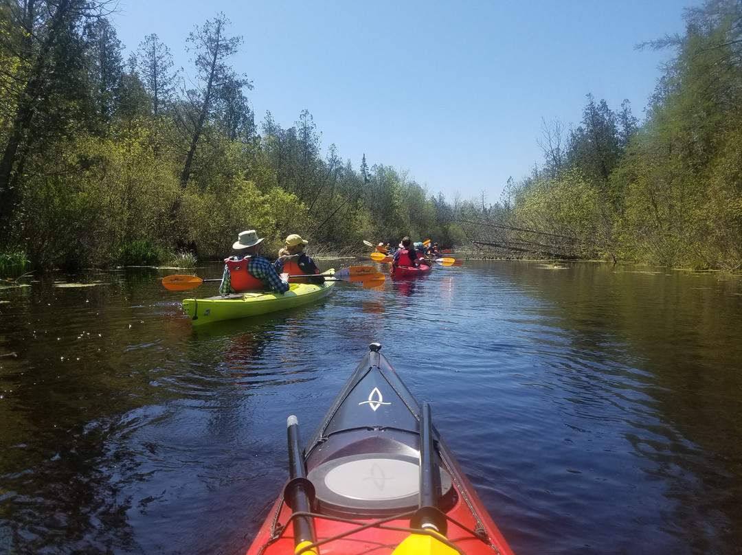 Peninsula Kayak Company-斯特金贝必去景点