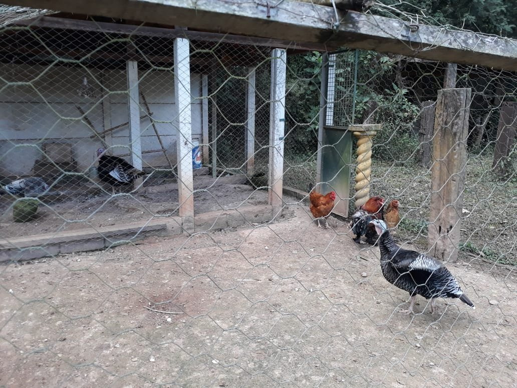 Hotel Fazenda Mangalarga主图