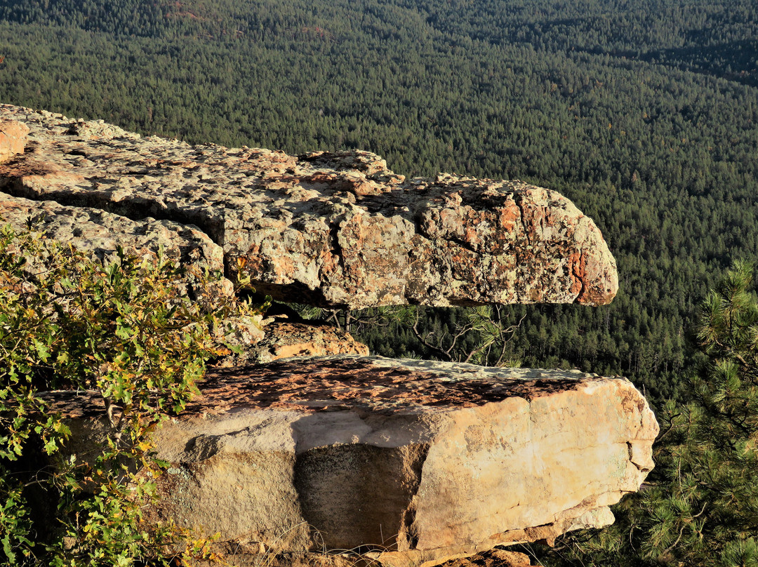 Rim Lakes Vista Trail-Payson必去景点