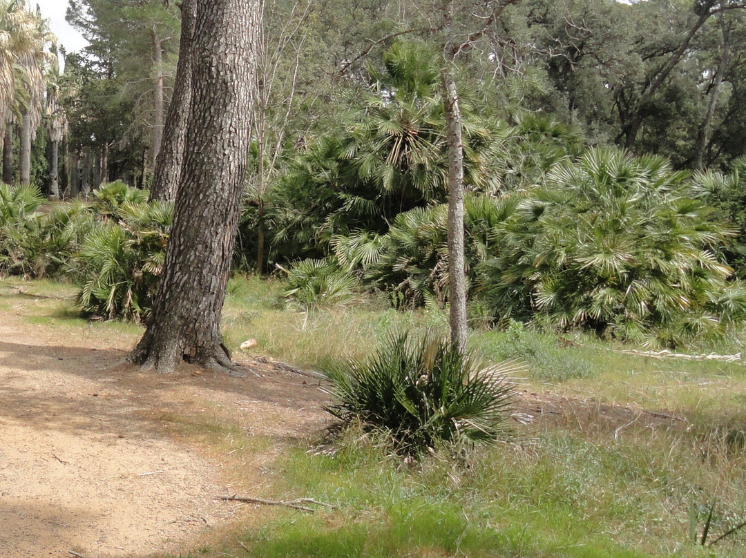 Parc Samà-坎布里尔斯必去景点