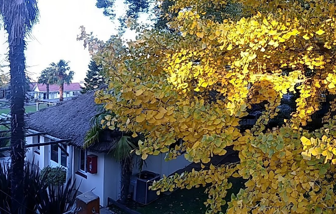 Hotel Finca Maria Cristina主图