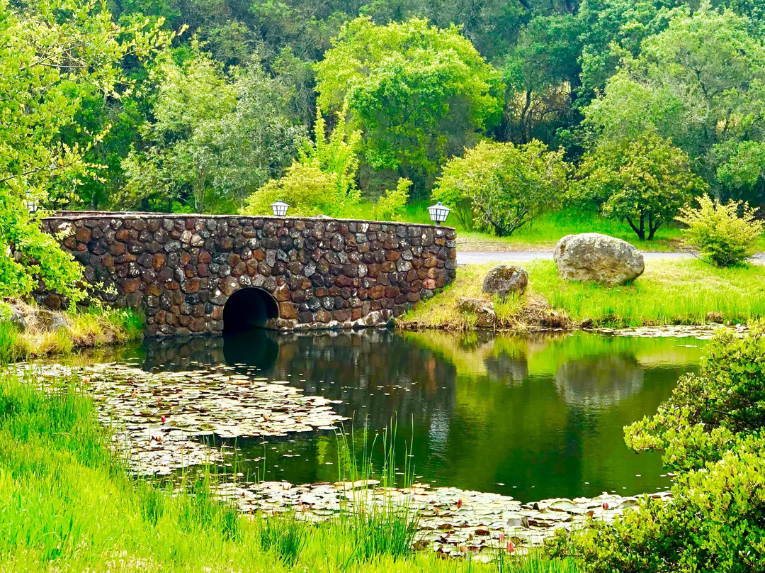 Diamond Express Limo-Brentwood必去景点