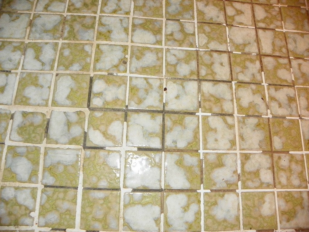 Gatehouse Motel主图