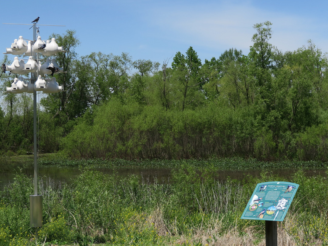 Great Egret Marsh Preserve-Lakeside必去景点