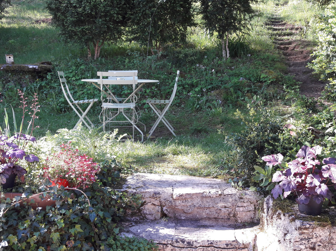Charme et Jardin Coeur St. Cirq主图