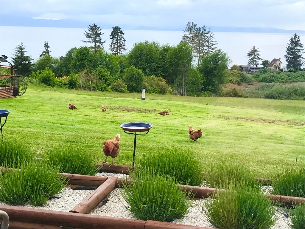 Gordon's Beach Farmstay-酒店景观