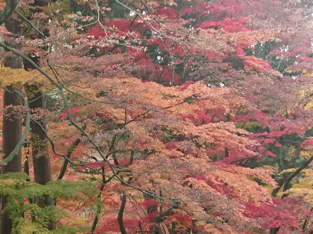 Konomiya Shrine景点图片