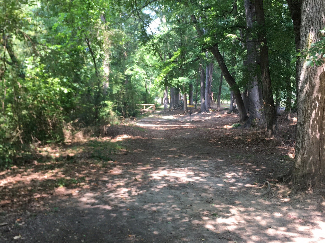 Wills Park-阿尔法利塔必去景点