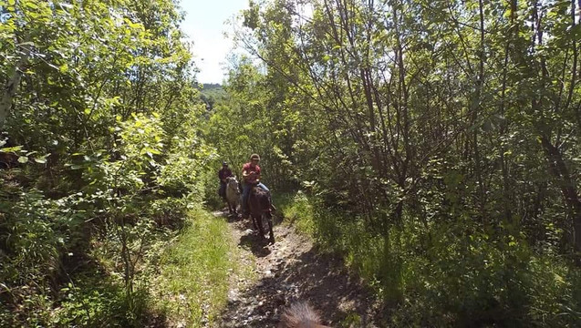 Tours in Brasov-布拉索夫必去景点