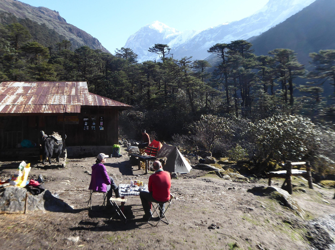 Namgyal Treks & Tours景点图片