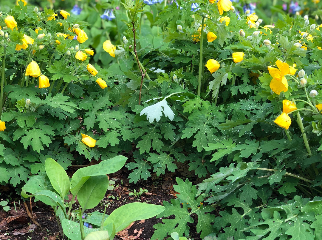 James L. Goodwin State Forest-Hampton必去景点