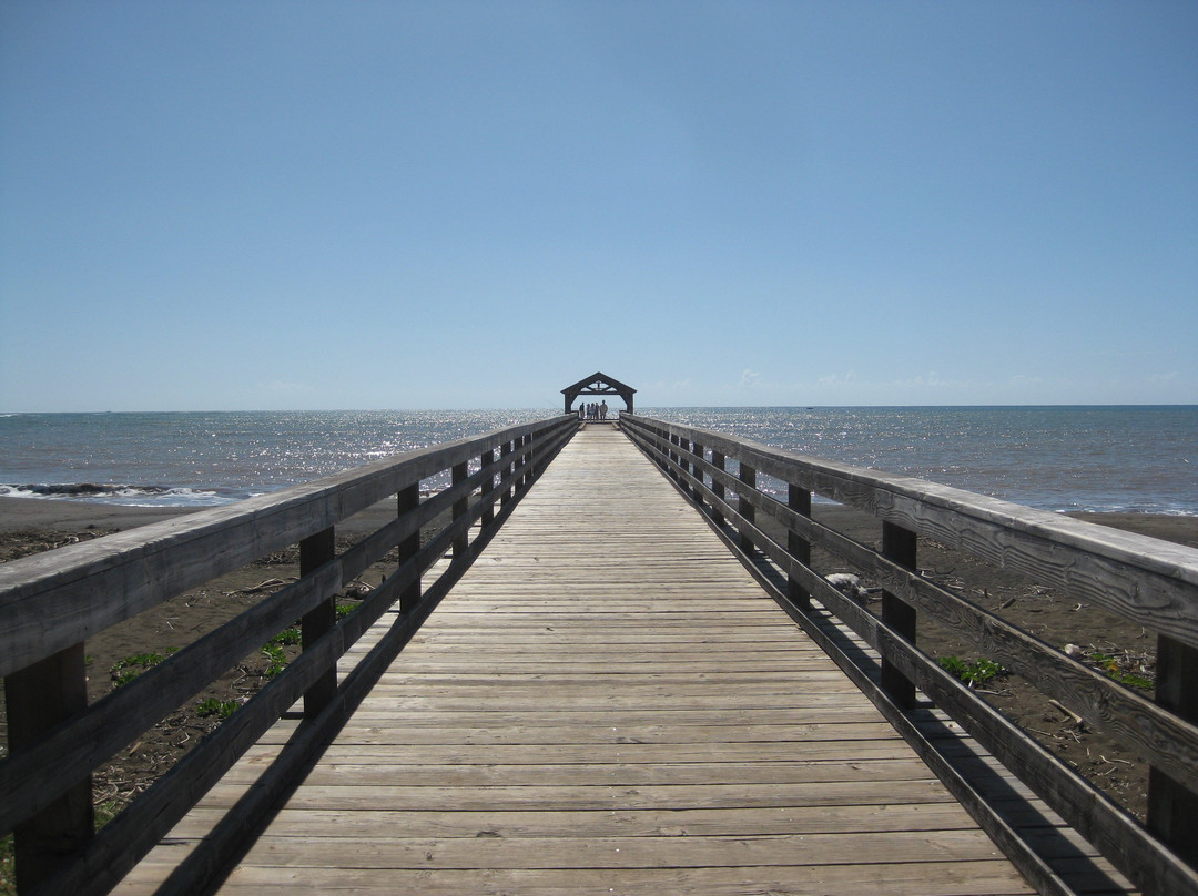 Waimea Pier-可爱岛必去景点