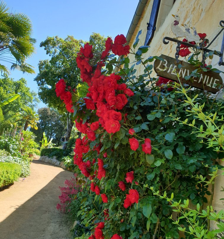 La Guérinière主图